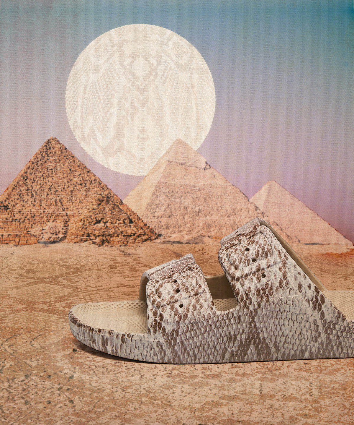 FM VIPER SLIDES IN EGYPT